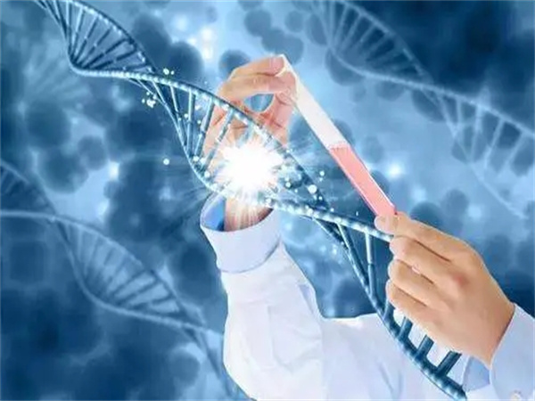 性激素六项报告单怎么看呢